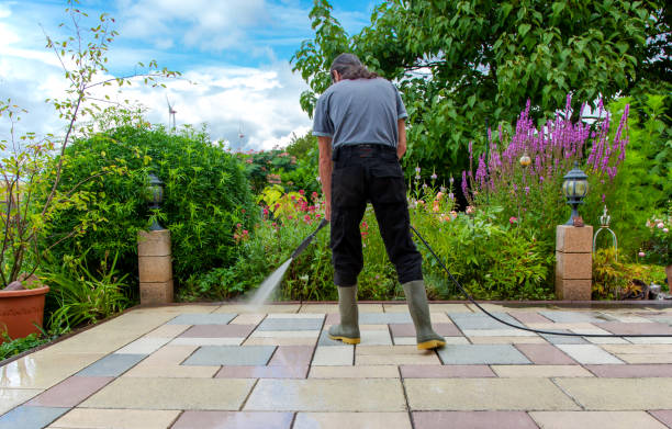 Best Driveway Pressure Washing  in Richton, MS