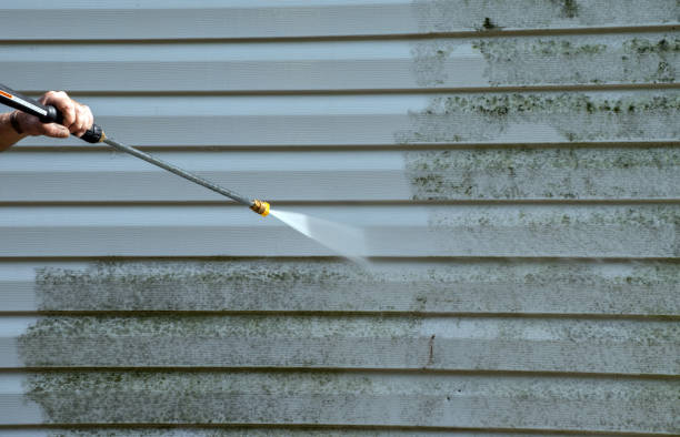 Best Residential Exterior Washing  in Richton, MS