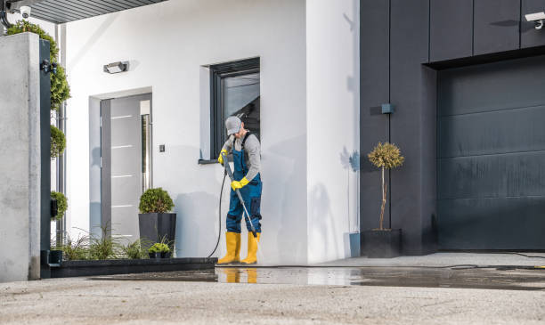 Best Sidewalk and Walkway Cleaning  in Richton, MS
